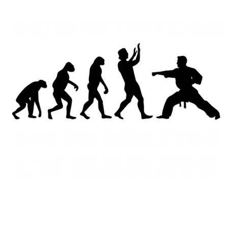 Dejad de seguirme Soy un maestro en karate