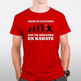 Dejad de seguirme Soy un maestro en karate