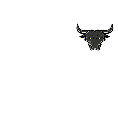 The Black Bull - Escudo + Espalda - Modelo black