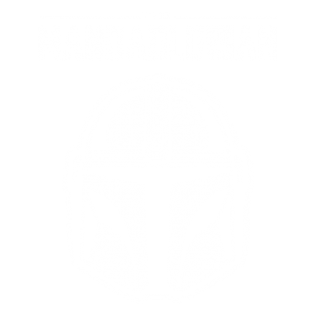 The Mandadlorian - v2