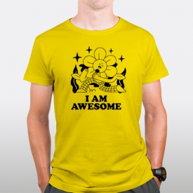 I am Awesome - v2