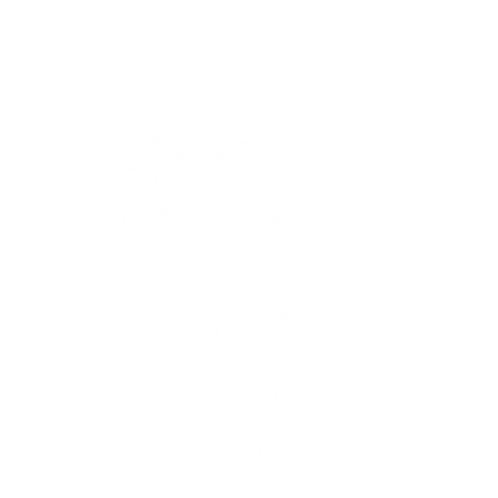 We come in pizza