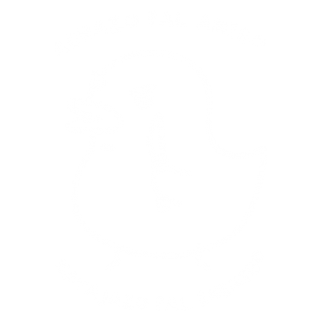 Abrazo Pal Amigo v2