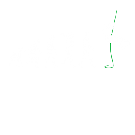 Evolución Rappeling