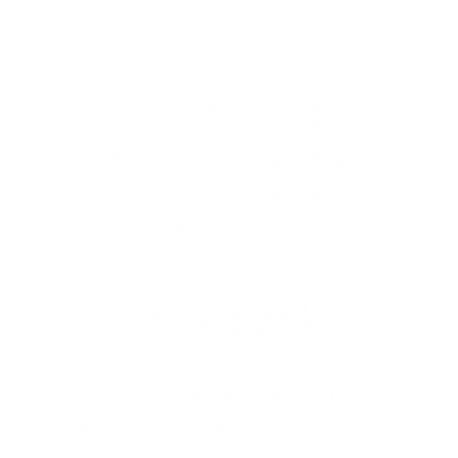 Dawn of The Infected - Blanco Vintage