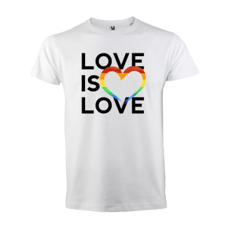 Camiseta:  Love is Love