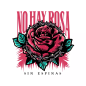 No hay rosa sin espinas