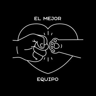 El mejor equipo-gato