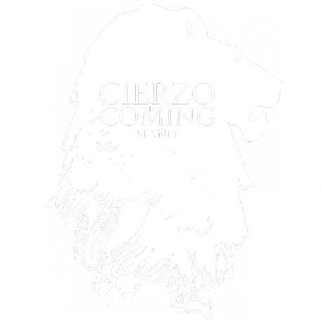 Cierzo is coming Spray