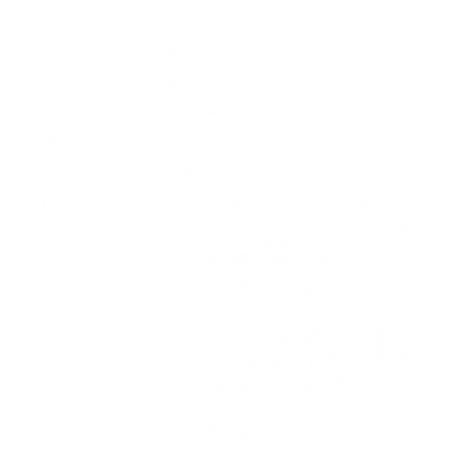 Los viejos moteros nunca mueren 