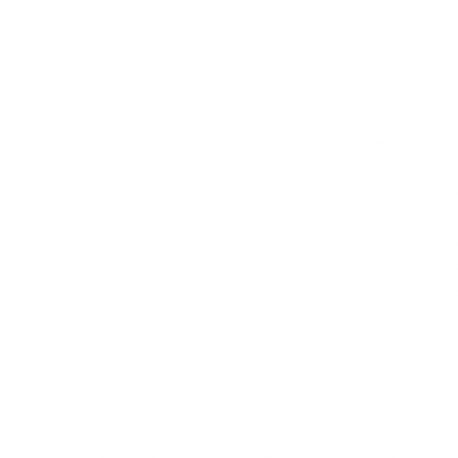 Maldita dilsexia