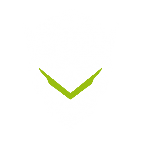 OW Genji