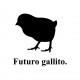 Futuro gallito