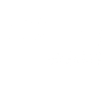 Experto en problemas