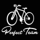 Perfect Team - Bici