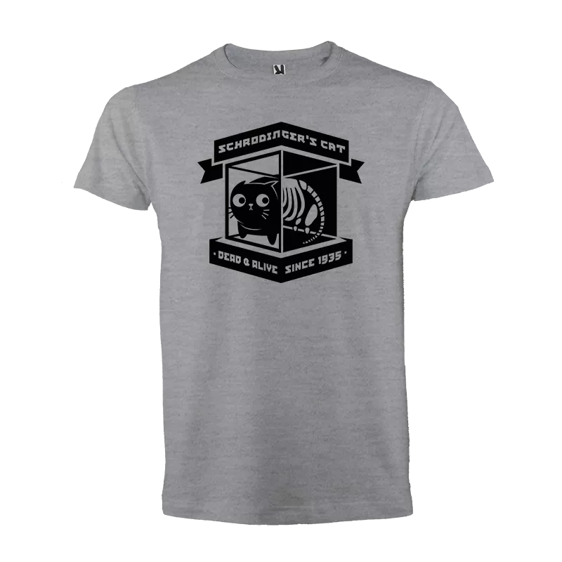 Schrodinger's cat 1935