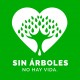 Sin árboles