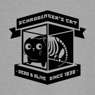 Schrodinger's cat 1935