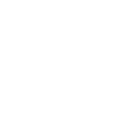 Fortnite II