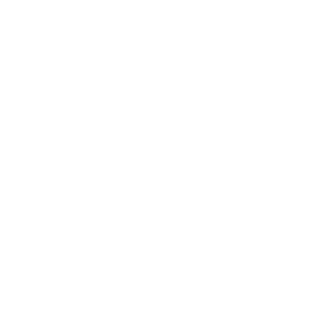 Venom Logo