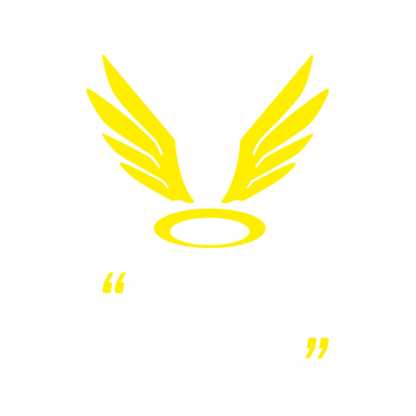 OW Mercy Ultimate