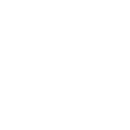 The Horse Face