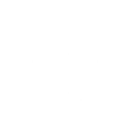 Vegvisir