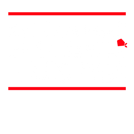 Soy Aragones de la cabeza a los pies II