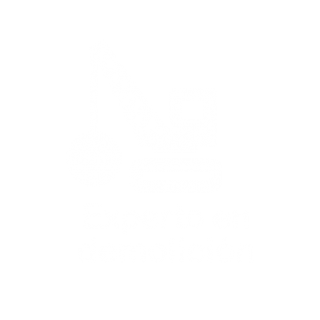 Experto en - demolición