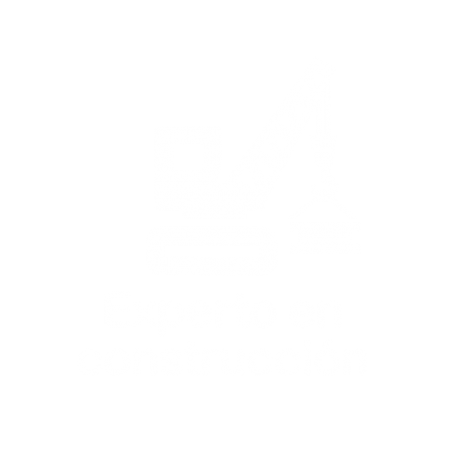 Experto en - construcción