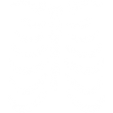 Esqueleto 2