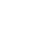 Esqueleto 3