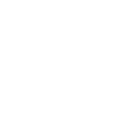 Esqueleto 3
