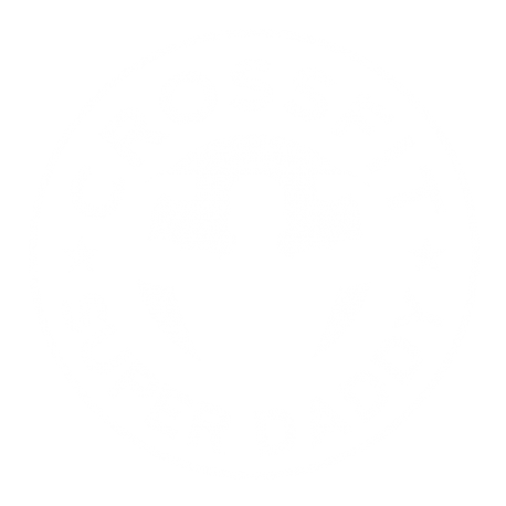 Crossfit Super Daddy - II