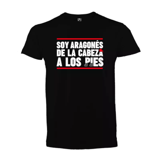 Camiseta: Soy aragones de la cabeza a los pies