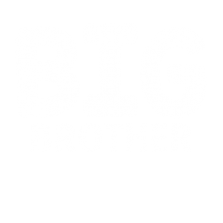 Big Brother