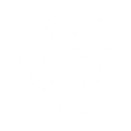 Arya not today